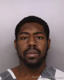 Mugshot of KELSIE WITTER