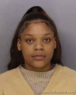 Mugshot of MORRIGAN CRUTCHER