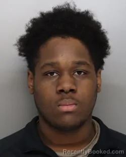 Booking photo from Hamilton County, Ohio