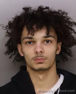 Mugshot of DAMEKO LEWIS