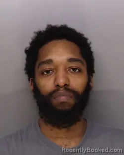 Mugshot of AARON PALMER