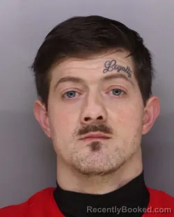 Mugshot of DAVID MCCOY