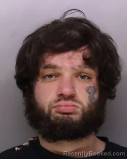 Mugshot of PAUL RILEY