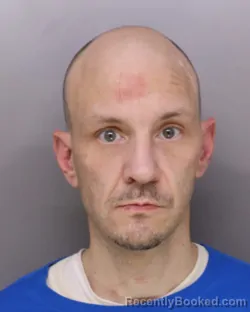 Mugshot of ROBERT SCHROEDER