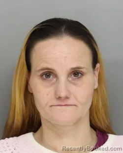 Mugshot of STACEY HEUER