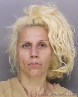 Mugshot of MERRISSA GRABER