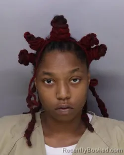 Mugshot of TRETERRA FEAGIN