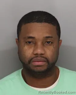 Mugshot of JAMES RICE