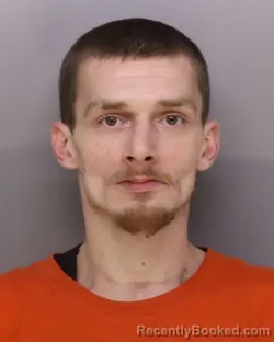 Mugshot of AUSTIN DOLE