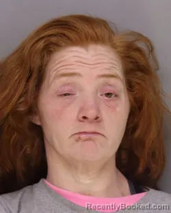 Mugshot of AMY HUFFMAN