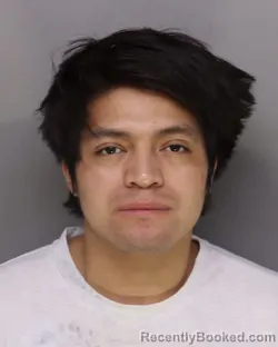Mugshot of WILMER CASTANON-PEREZ