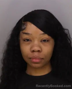 Mugshot of MIAVONNI WILLIAMS