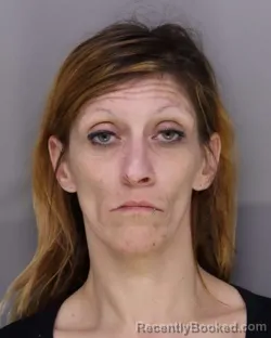 Mugshot of DESTANEY HUBBARD