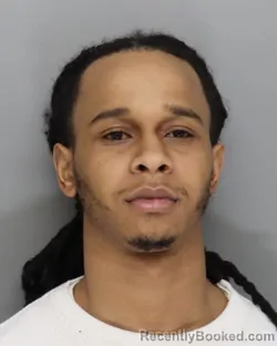 Mugshot of RONALD PARHAM