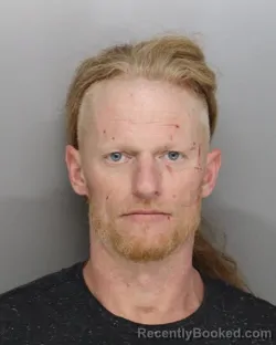 Mugshot of MICHAEL FORTON