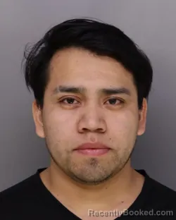 Mugshot of WILY BOP-SANCHEZ