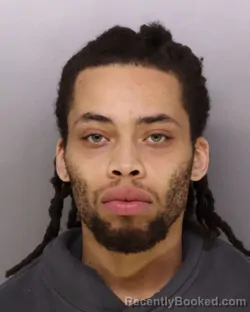 Mugshot of TRENIS BROWN