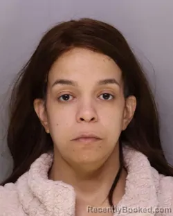 Mugshot of VIVIANETTE MANGUAL-PELLOT