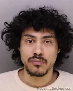 Mugshot of KAVIN PINEDA