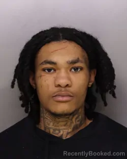 Mugshot of DEAMONTE PETERSON