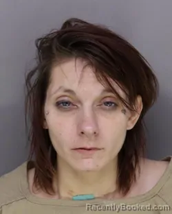 Mugshot of ASHLEY ROSE