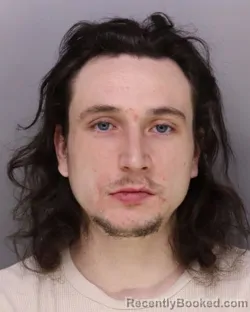 Mugshot of THOMAS WALTERS