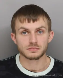 Mugshot of BRIAN ROSEBERRY