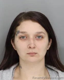 Mugshot of JORDAN RIGGS