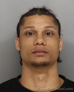 Mugshot of LANDON HORTON