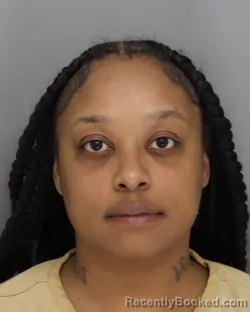 Mugshot of BRITTANY PRICE