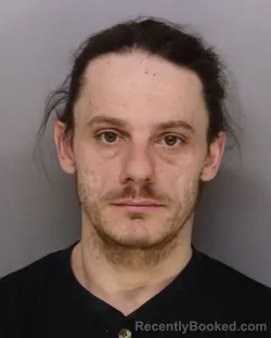 Mugshot of SHAWN SCHLUETER