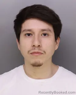 Mugshot of ROBERTO REYES