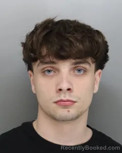 Mugshot of AIDEN HENDRICKS