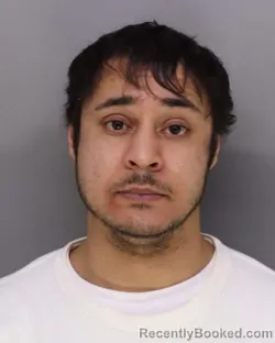 Mugshot of NICHOLAS RAMPERSAD