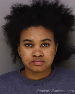 Mugshot of JAILA MEEKS