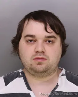 Mugshot of TYLER STEARS