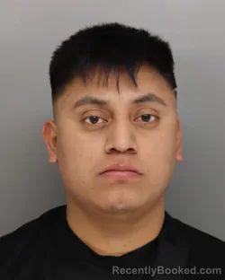 Mugshot of EDY ESCALANTE