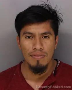 Mugshot of CRISTIAN RODRIGUEZ