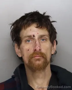 Mugshot of JOHN CALLINAN