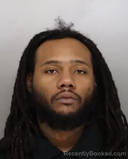 Mugshot of ROBERT DAVIS