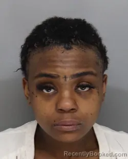 Mugshot of SHANISE HOWARD