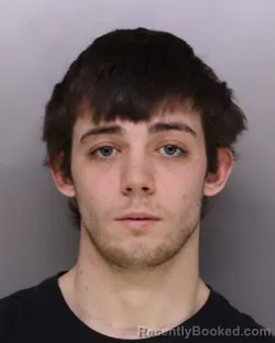 Mugshot of KYLE DOBBS