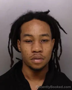 Mugshot of JOSHUA JOHNSON