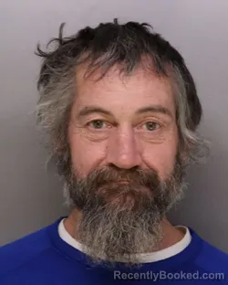 Mugshot of RYAN WEEMES