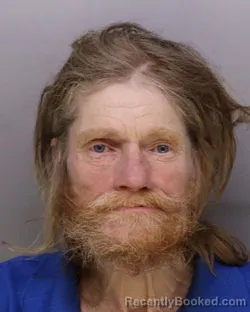 Mugshot of ANTHONY ISBEL