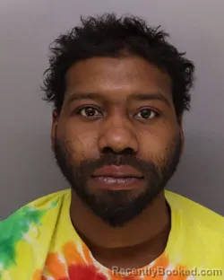 Mugshot of TIMOTHY MITCHELL