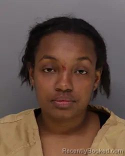 Mugshot of ZOE JONES