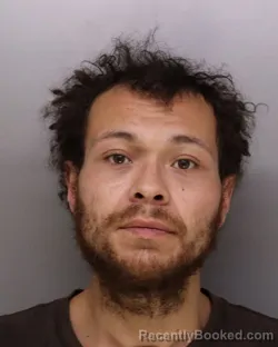 Mugshot of CHRISTOPHER GOODMAN