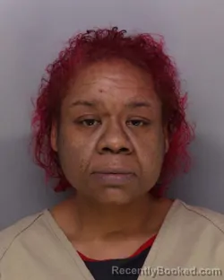 Mugshot of MELISSA SILVA