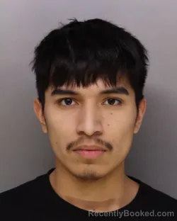 Mugshot of FRANK CERVANTES